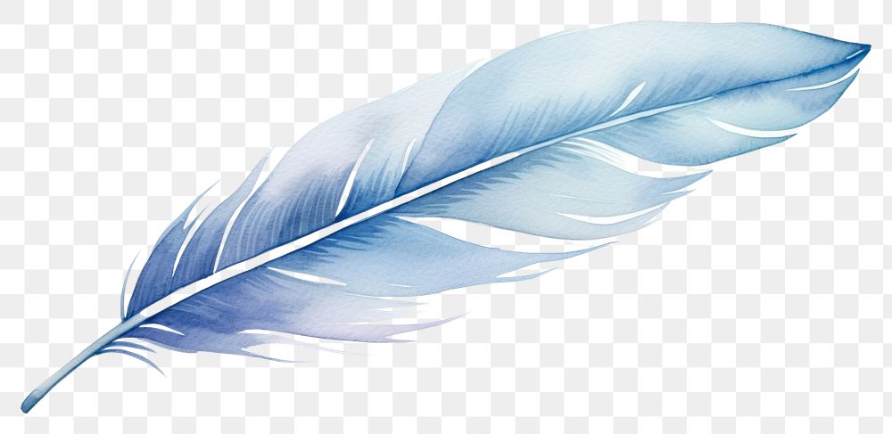 PNG Lightweight softness feather pattern. AI generated Image by rawpixel.