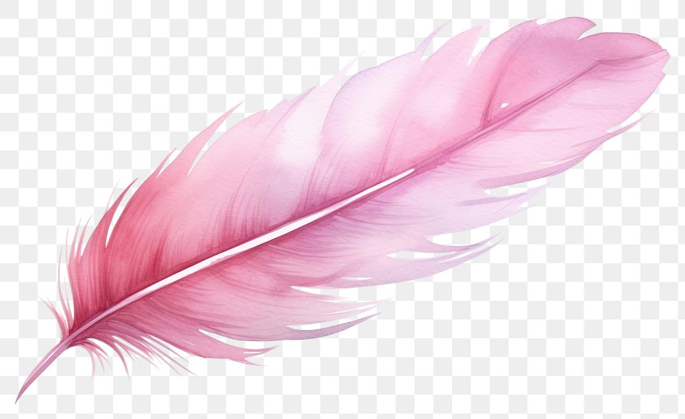 PNG Feather pink lightweight accessories