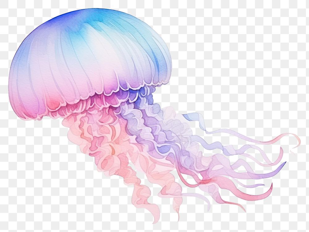 PNG Jellyfish invertebrate chandelier tentacle. AI generated Image by rawpixel.