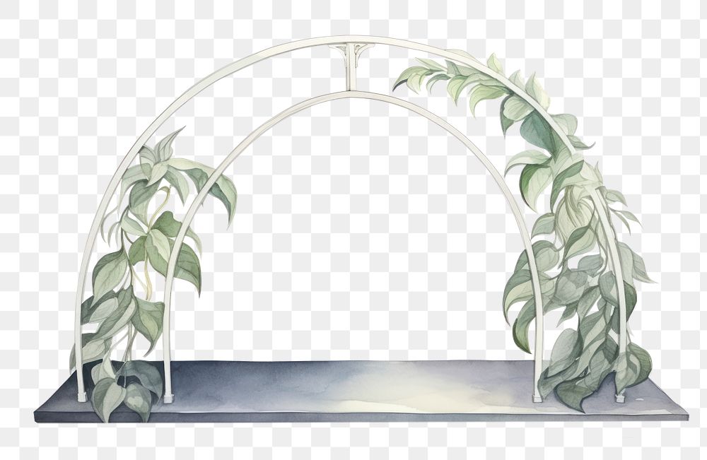 PNG  Plant arch architecture chandelier. AI generated Image by rawpixel.