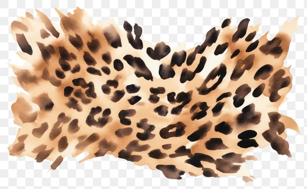 PNG Leopard cheetah transparent background erinaceidae. 