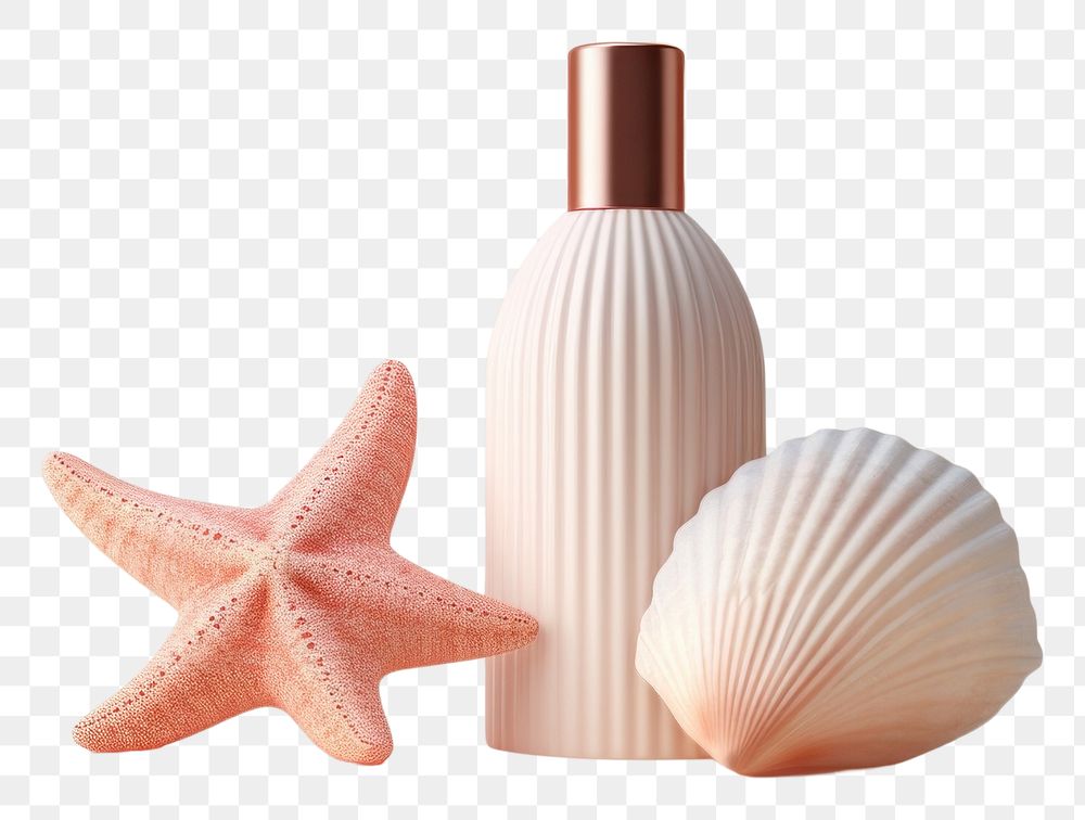 PNG Bottle perfume shell sea. AI generated Image by rawpixel.