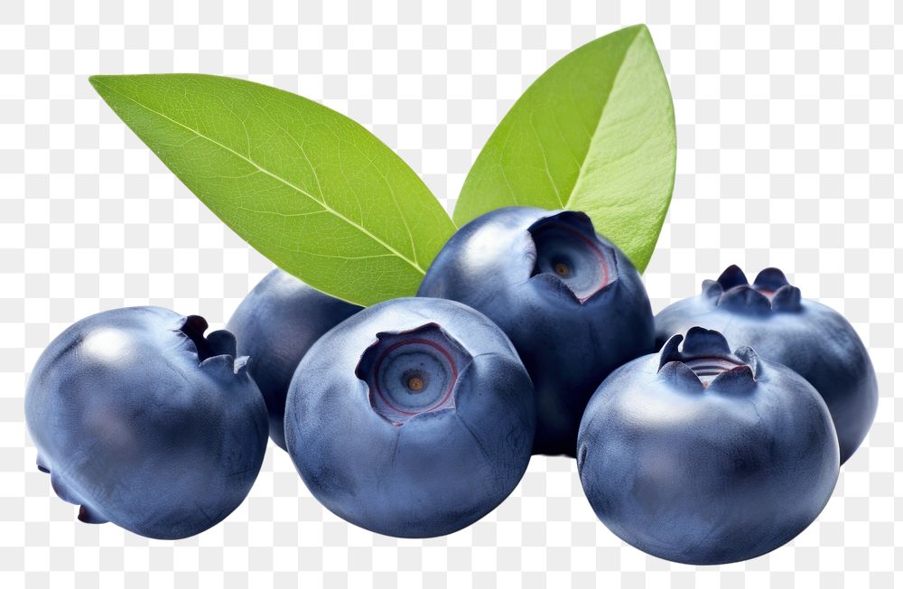 PNG Blueberry fruit plant food. 