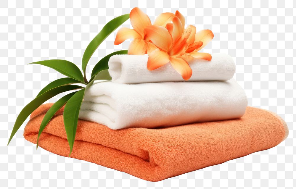 PNG Towel flower plant relaxation. AI generated Image by rawpixel.