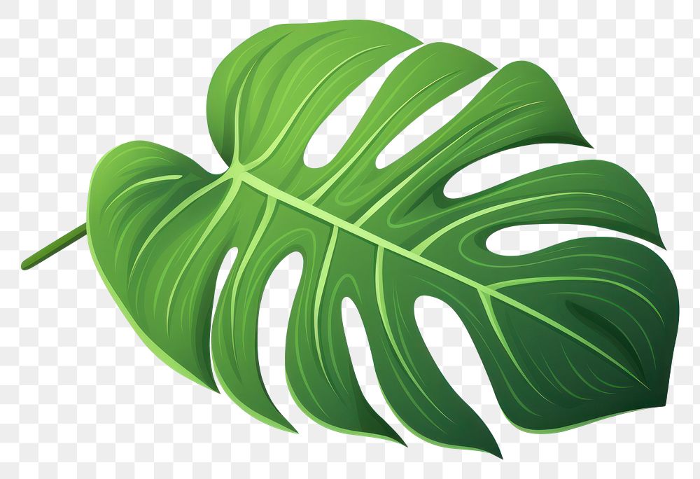 PNG  Plant leaf freshness clothing. AI generated Image by rawpixel.