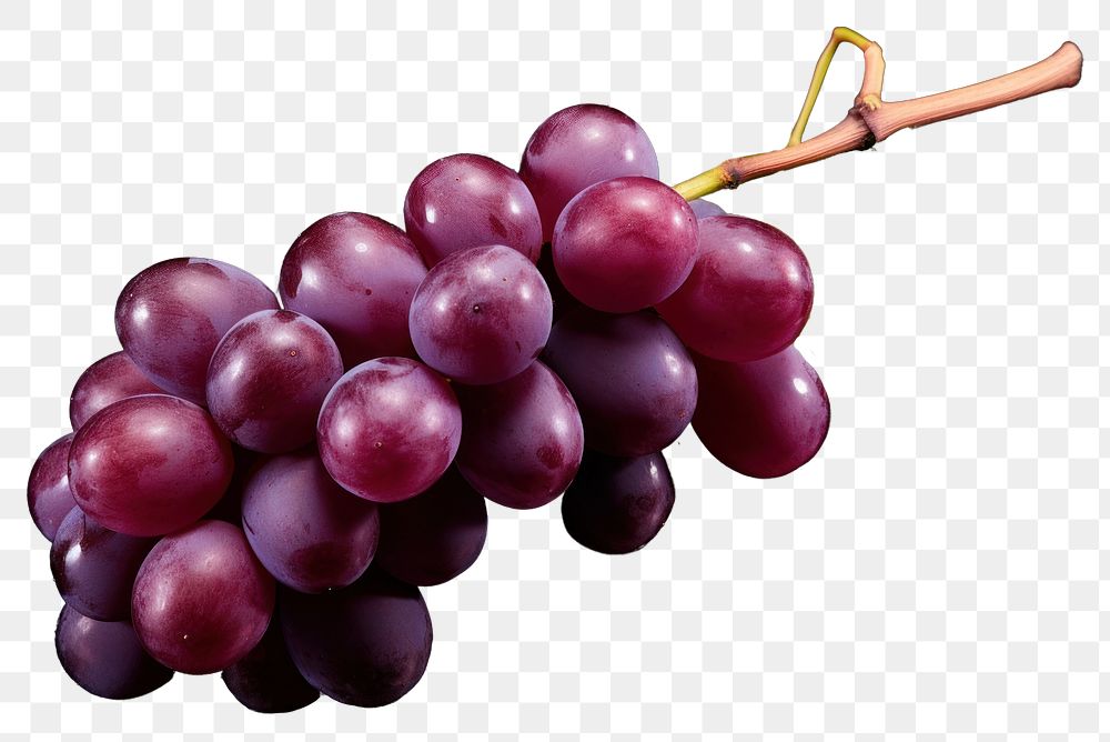 PNG  Grapes fruit plant food. AI generated Image by rawpixel.