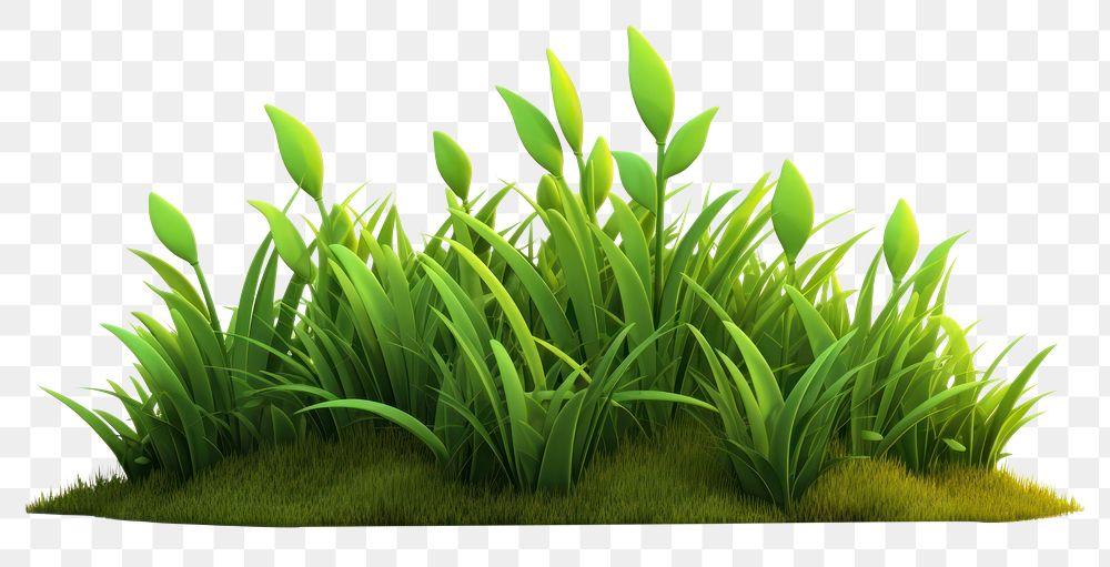 PNG  Plant grass green leaf. AI generated Image by rawpixel.
