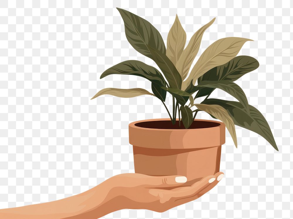 PNG Plant holding leaf hand. AI generated Image by rawpixel.