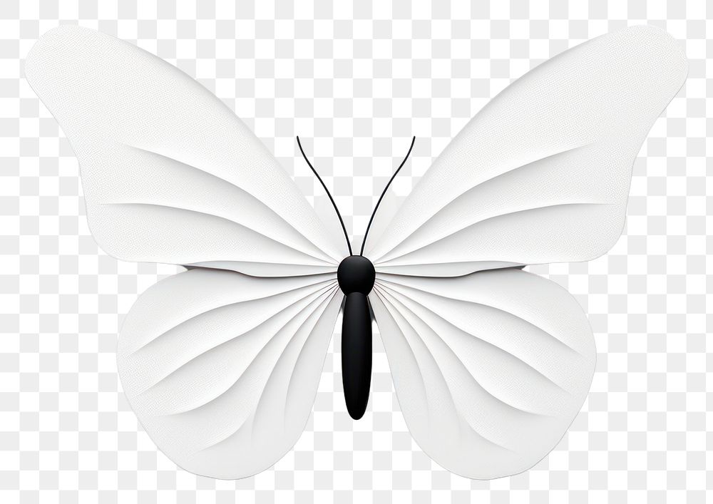 PNG Butterfly white animal insect. AI generated Image by rawpixel.