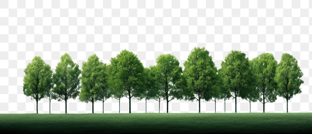 PNG Nature green tree landscape. AI generated Image by rawpixel.