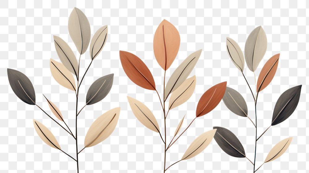 PNG Pattern plant line leaf. 