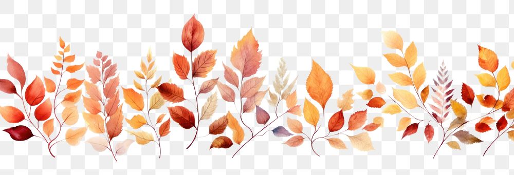 PNG Pattern autumn plant leaf. AI generated Image by rawpixel.