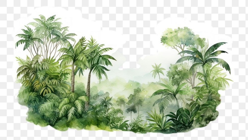 PNG watercolor illustration of a rainforest, isolated on a white paper background, isolated --ar 3:2