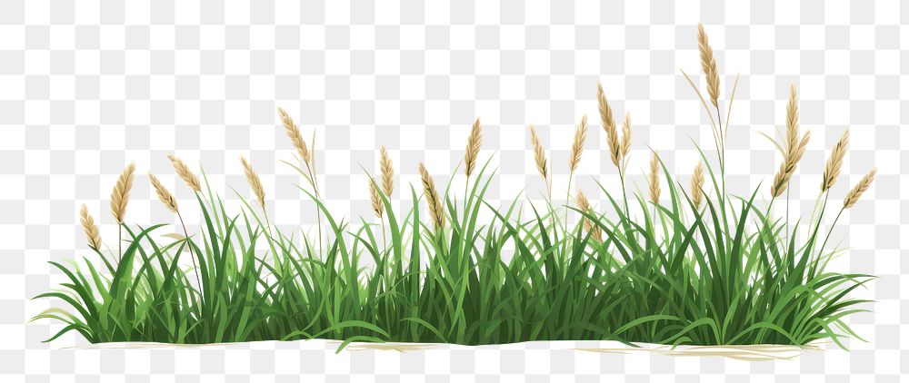 PNG Grass plant tranquility agriculture. AI generated Image by rawpixel.