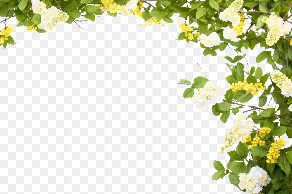 PNG Outdoors flower nature plant. AI generated Image by rawpixel.