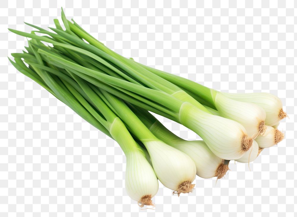 PNG Vegetable onion plant green. AI generated Image by rawpixel.