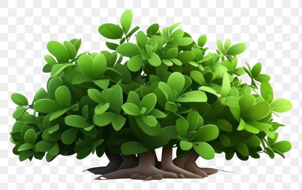 PNG Bonsai plant green leaf. AI generated Image by rawpixel.
