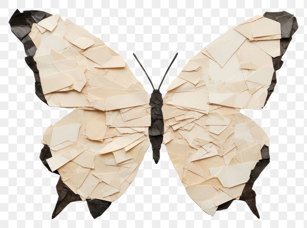 PNG Butterfly paper art insect. AI generated Image by rawpixel.