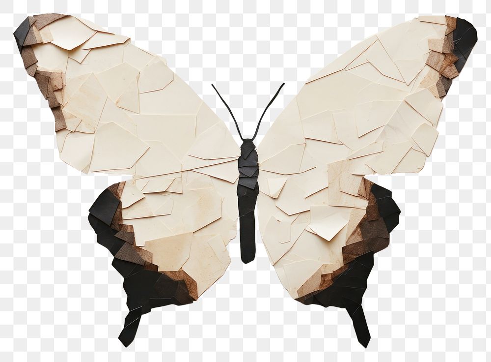 PNG Butterfly animal insect moth. AI generated Image by rawpixel.