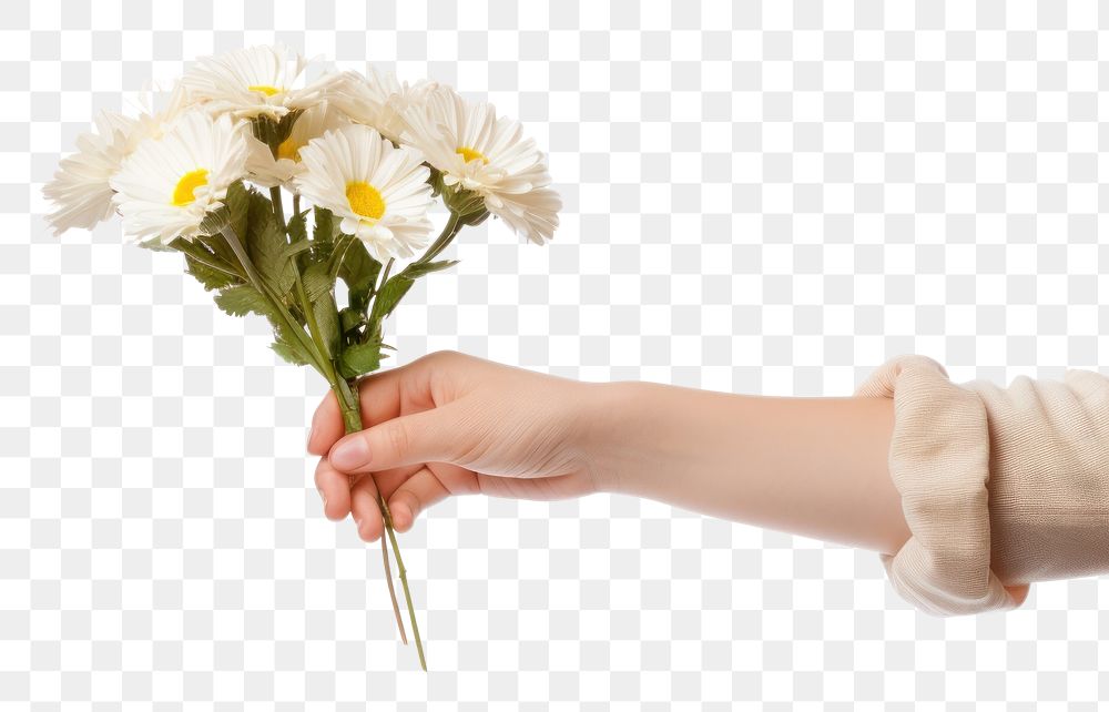 PNG Flower finger plant white. AI generated Image by rawpixel.