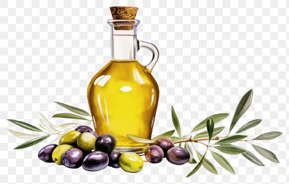 PNG Bottle olive food  