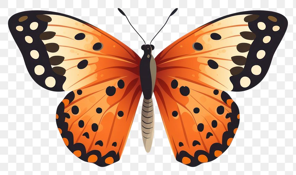 PNG  Butterfly insect animal white background. AI generated Image by rawpixel.
