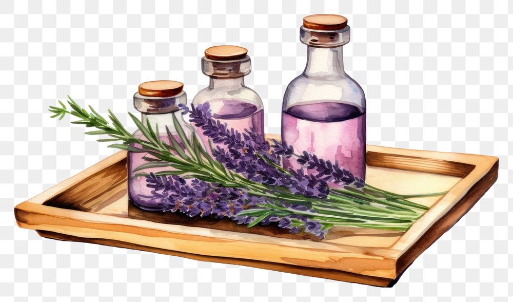PNG Lavender bottle flower purple. AI generated Image by rawpixel.