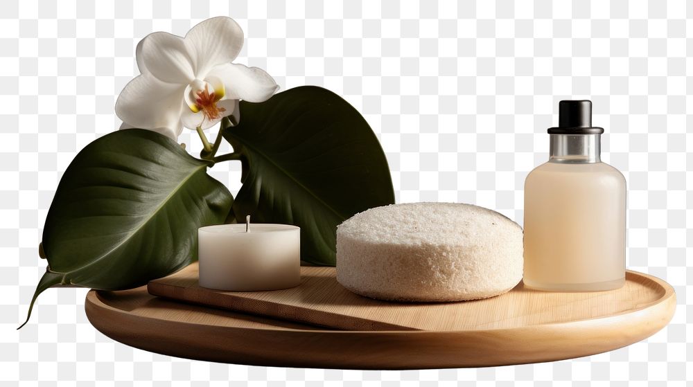 PNG Plant spa parmigiano-reggiano freshness. AI generated Image by rawpixel.