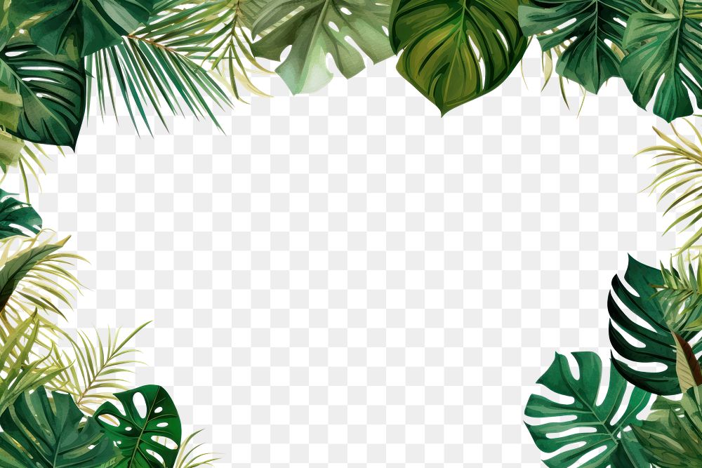 PNG Plant backgrounds outdoors tropics. AI generated Image by rawpixel.