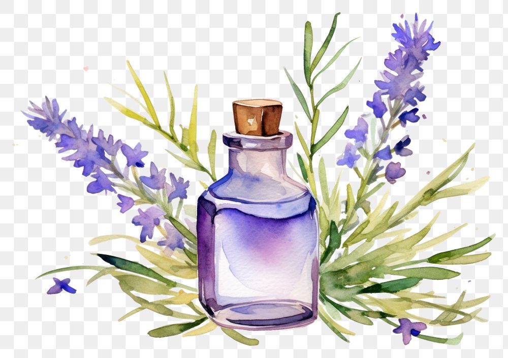 PNG Lavender perfume flower bottle. AI generated Image by rawpixel.