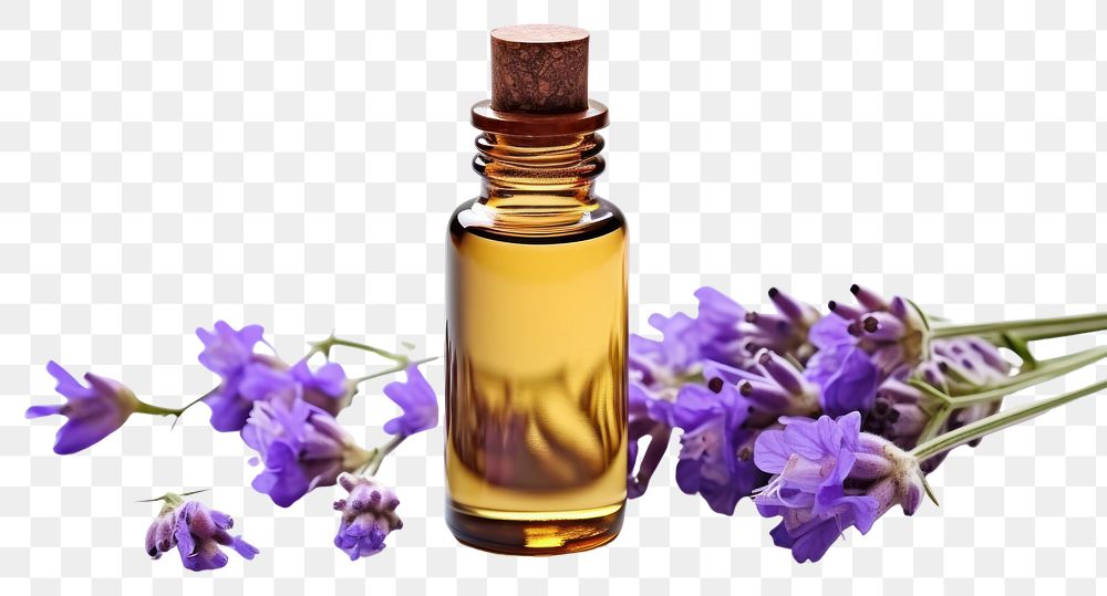PNG Cosmetics lavender perfume bottle. AI generated Image by rawpixel.