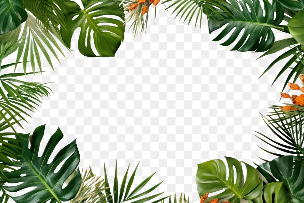 PNG Plant backgrounds outdoors tropics. | Premium PNG - rawpixel