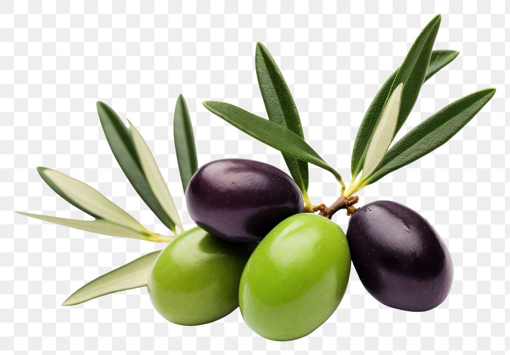 PNG Olive fruit plant food. AI generated Image by rawpixel.