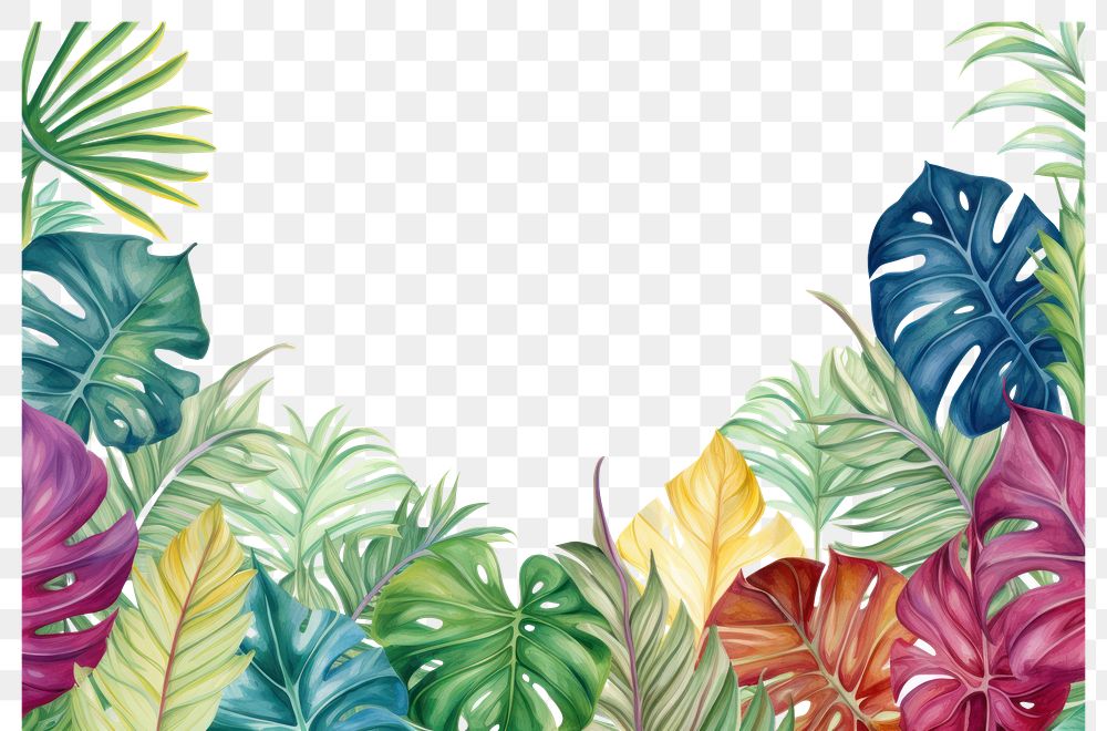 PNG Tropical leaves border backgrounds outdoors tropics. AI generated Image by rawpixel.