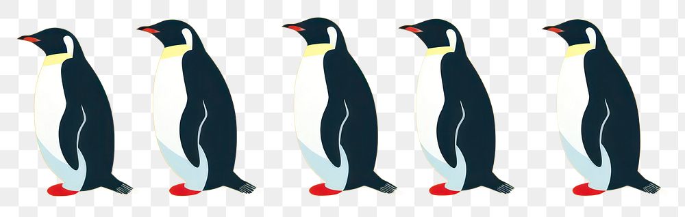 PNG Penguin animal bird wildlife transparent background