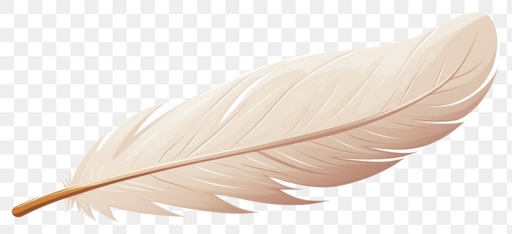 PNG Feather lightweight accessories transparent background