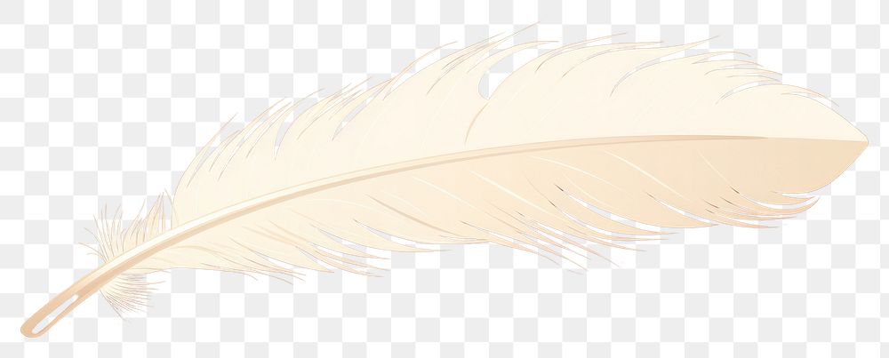 PNG Feather bird lightweight accessories transparent background