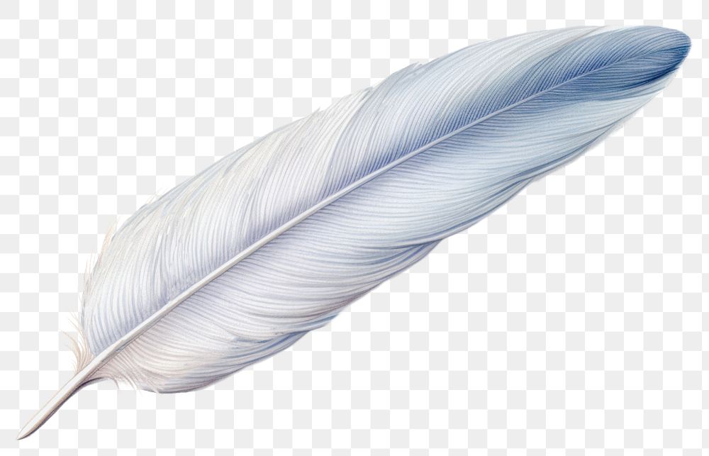 PNG Feather white transparent background lightweight. 