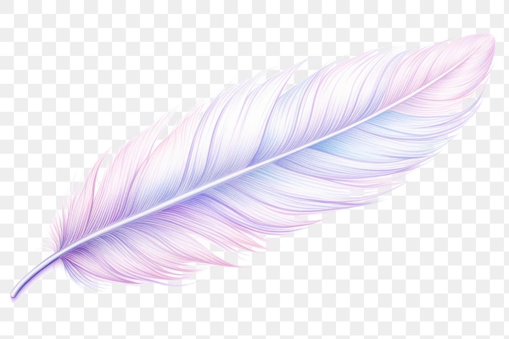 PNG Feather drawing sketch transparent background. AI generated Image by rawpixel.