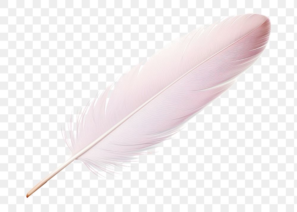 PNG Feather transparent background lightweight fragility. AI generated Image by rawpixel.