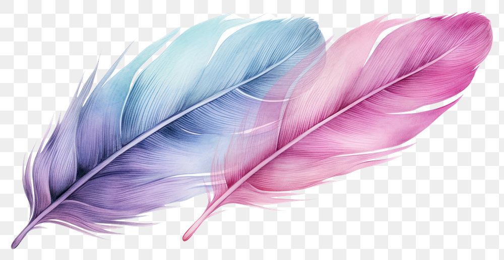 PNG Feather lightweight accessories transparent background