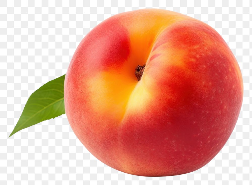 PNG Nectarine peach apple fruit. AI generated Image by rawpixel.