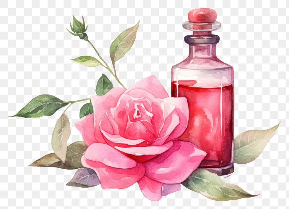 PNG Rose perfume flower bottle. AI generated Image by rawpixel.