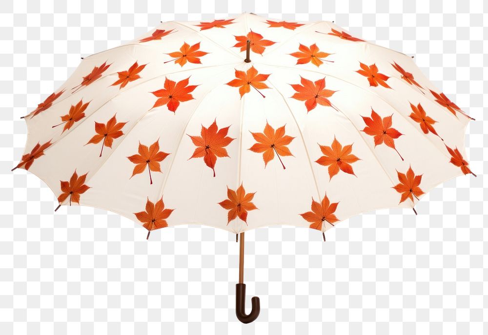 PNG Umbrella pattern maple leaf. AI generated Image by rawpixel.