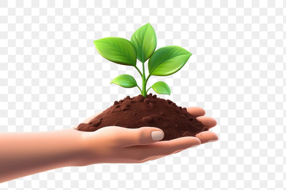 PNG Soil seedling holding plant. AI generated Image by rawpixel.