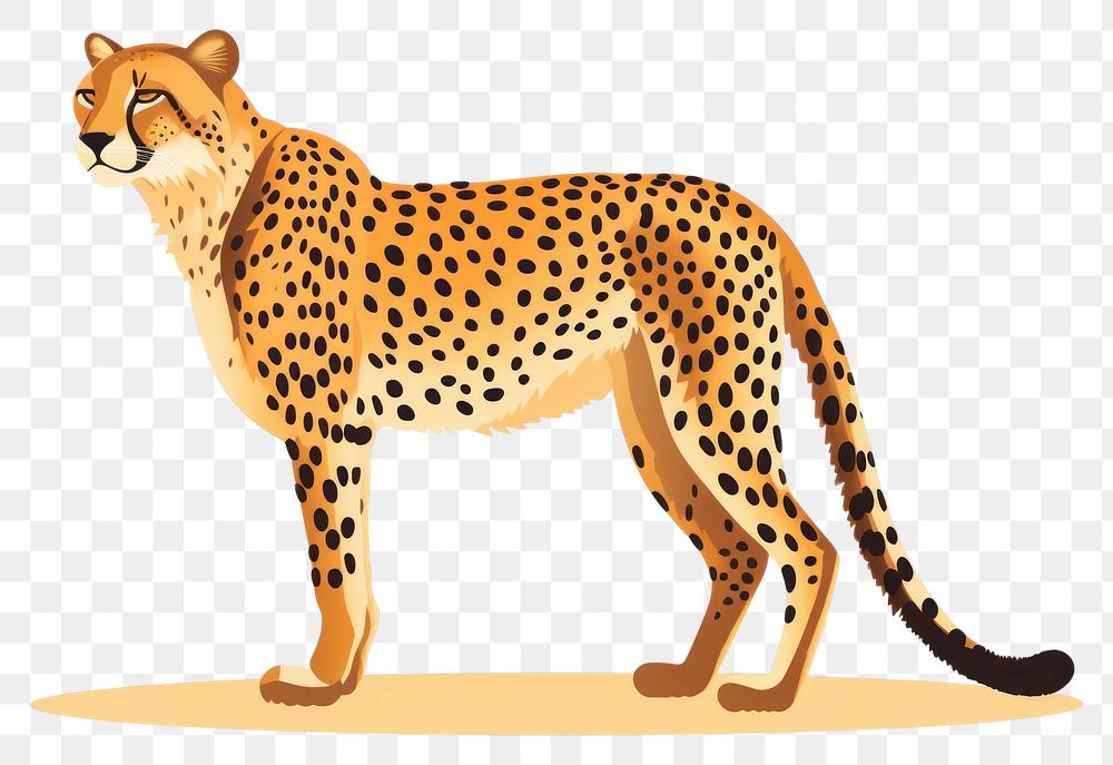 PNG Wildlife cheetah animal mammal. AI generated Image by rawpixel.