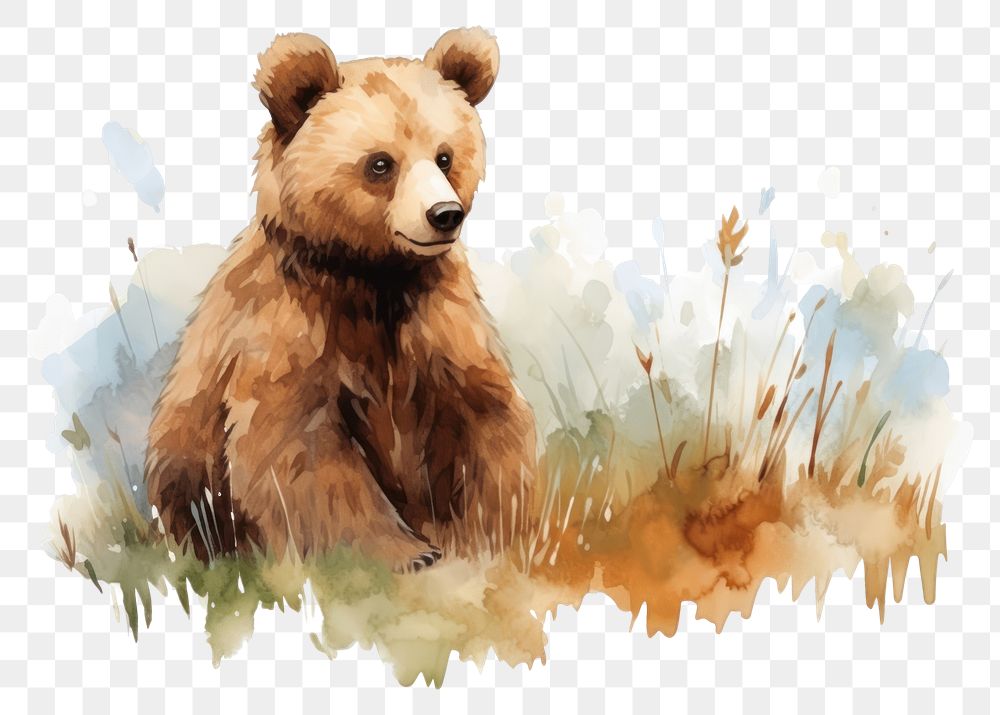 PNG Wildlife mammal animal bear. AI generated Image by rawpixel.