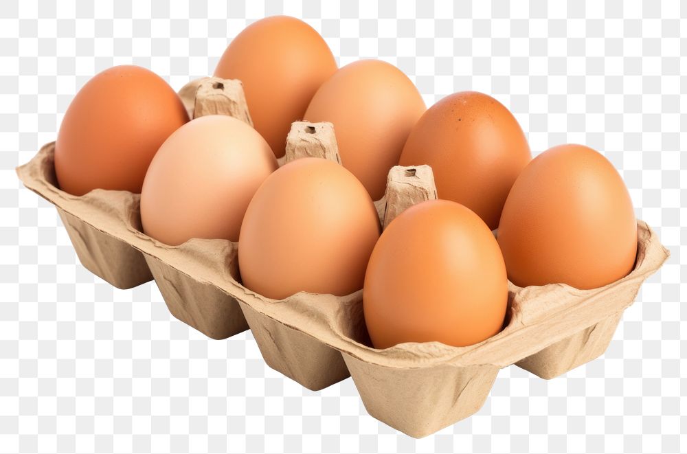 PNG Egg carton food white background. AI generated Image by rawpixel.