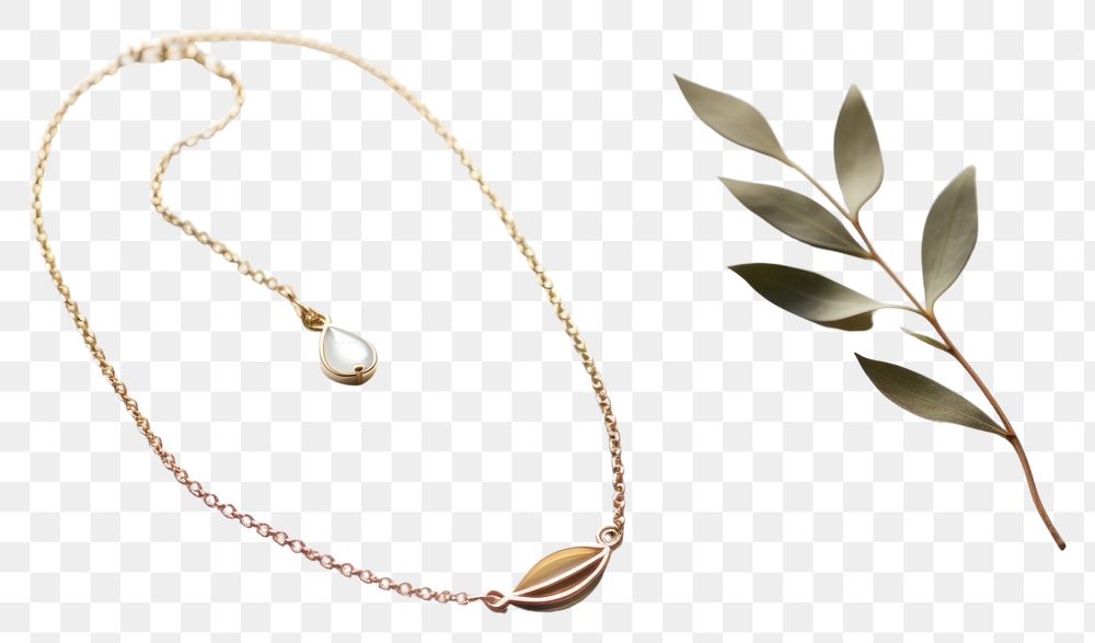 PNG Jewelry necklace plant accessories. AI generated Image by rawpixel.