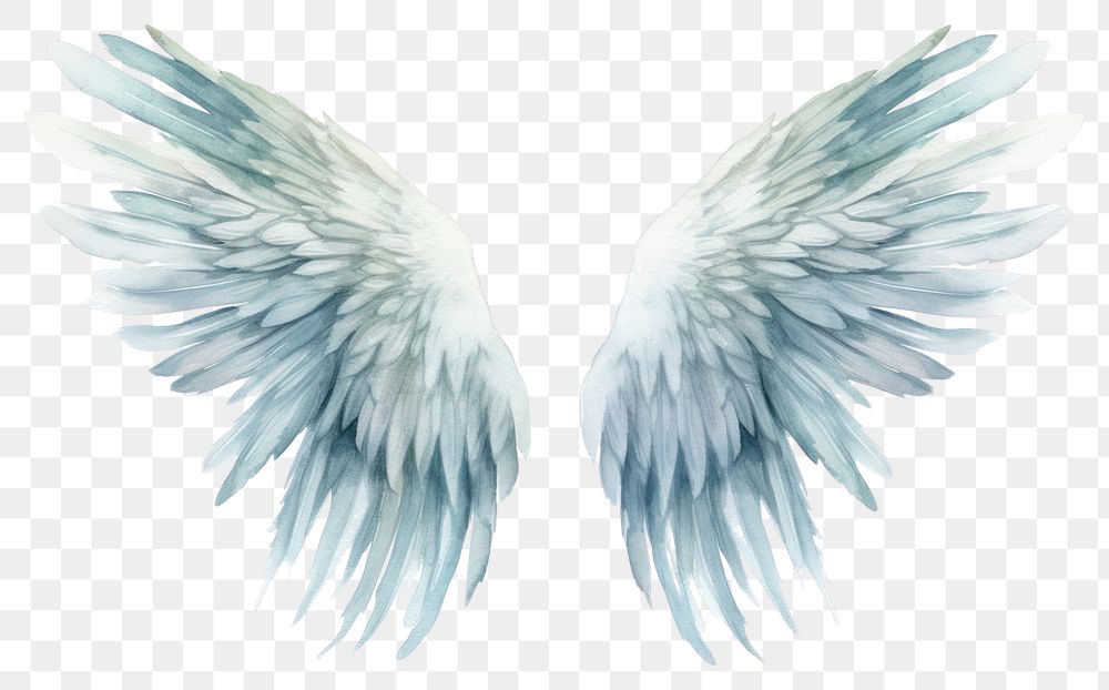 PNG Angel wing bird transparent background